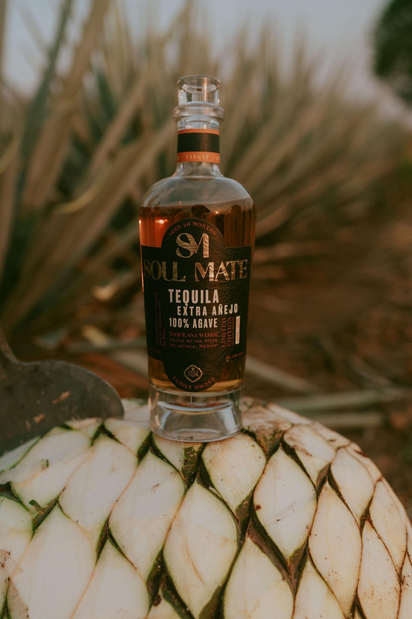 Extra Añejo Soulmate Tequila